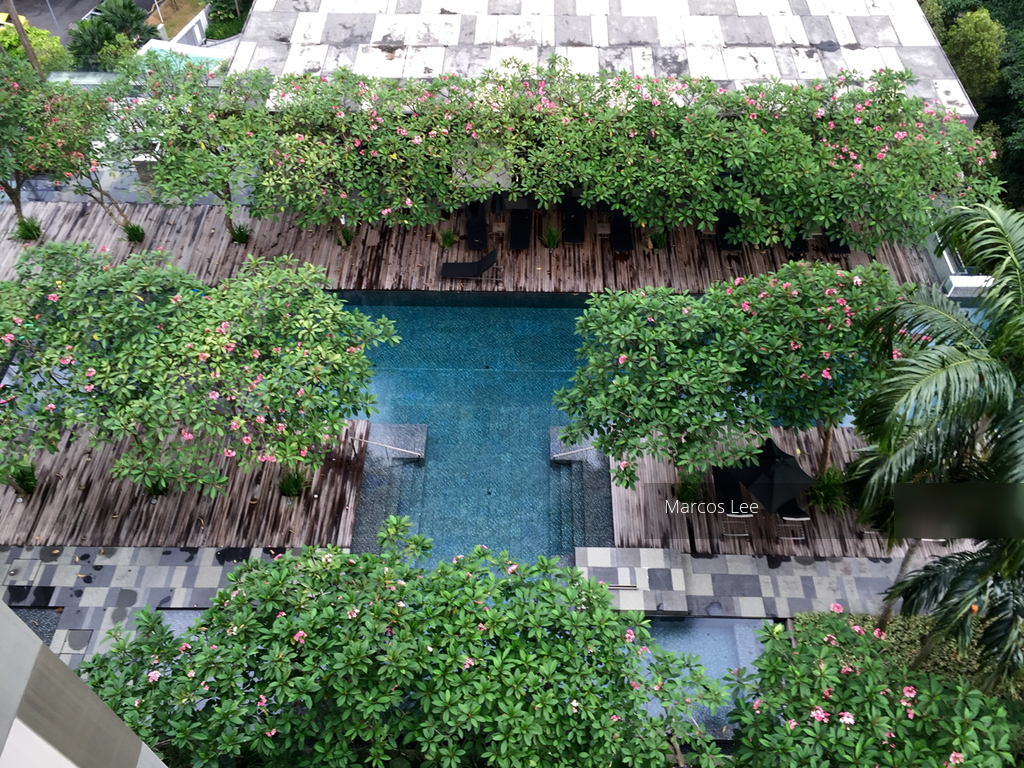 Newton Suites (D11), Apartment #114057522
